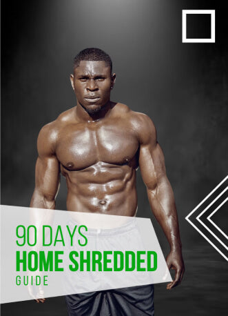 90 DAYS IN HOME SHREDDED GUIDE